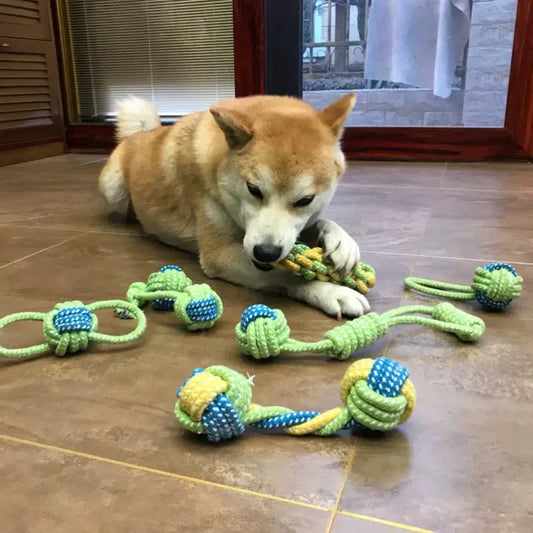 Giocattolo interattivo da masticare per cani in corda di cotone