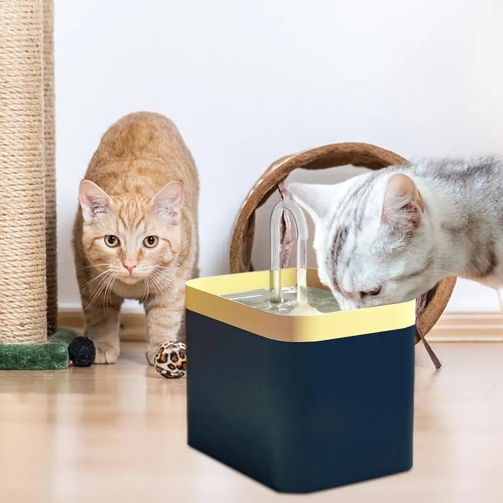 Fontana automatica per animali domestici – Dispenser da 1,5 litri con filtro