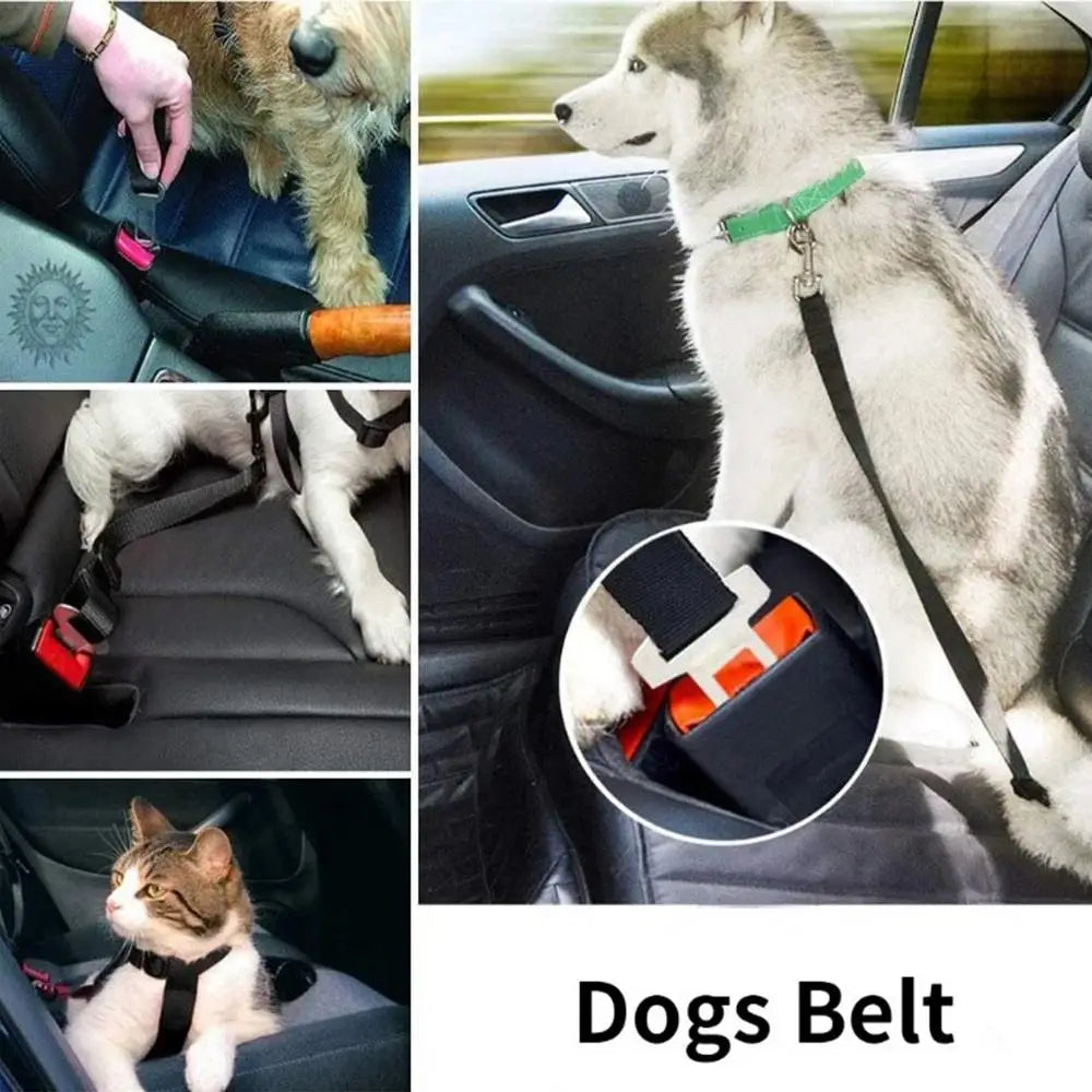 Cintura di sicurezza per auto regolabile per cani - Clip per imbracatura di sicurezza