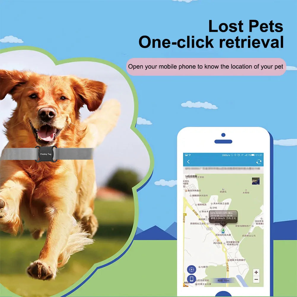 Collare localizzatore GPS per animali domestici: dispositivo di localizzazione in tempo reale